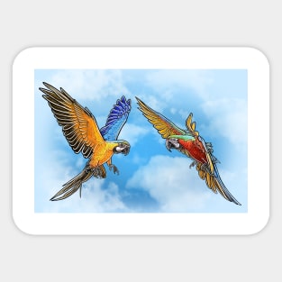 Straw Hat Parrots Luffy and Zoro: Cloud Background Sticker